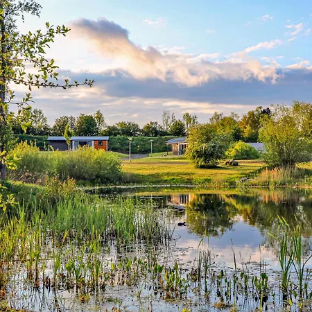 Holiday home Stunning In Suesel With Wifi Susel